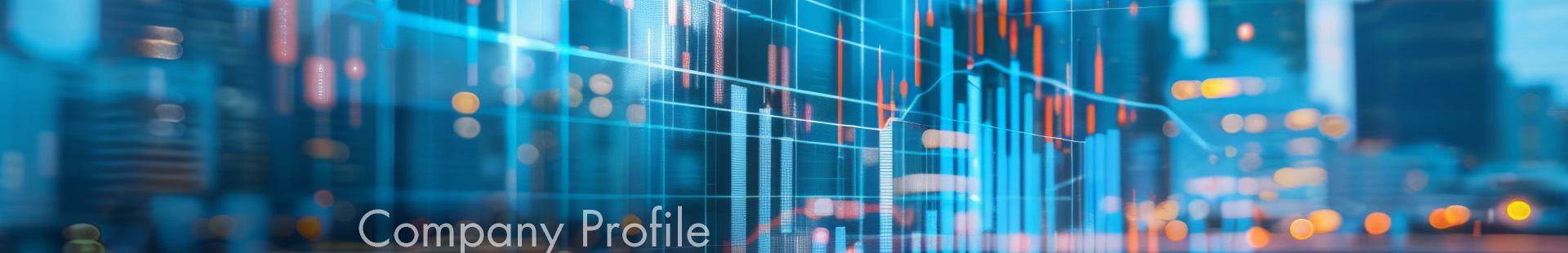 Company Profile